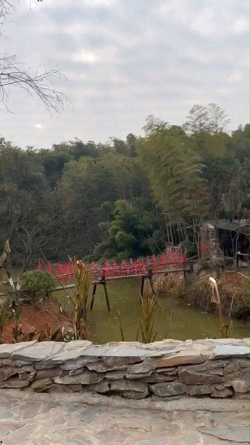 花溪新闻爆料网最新,揭秘最新热点事件,追踪社会动态 第1张 花溪新闻爆料网最新,揭秘最新热点事件,追踪社会动态 第1张